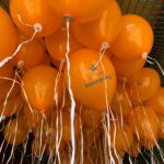 ballonnen renswoude aubade oranjevereniging oranjefestival